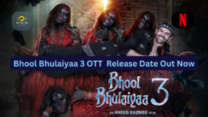 Bhool Bhulaiyaa 3 OTT Release Date : 2024